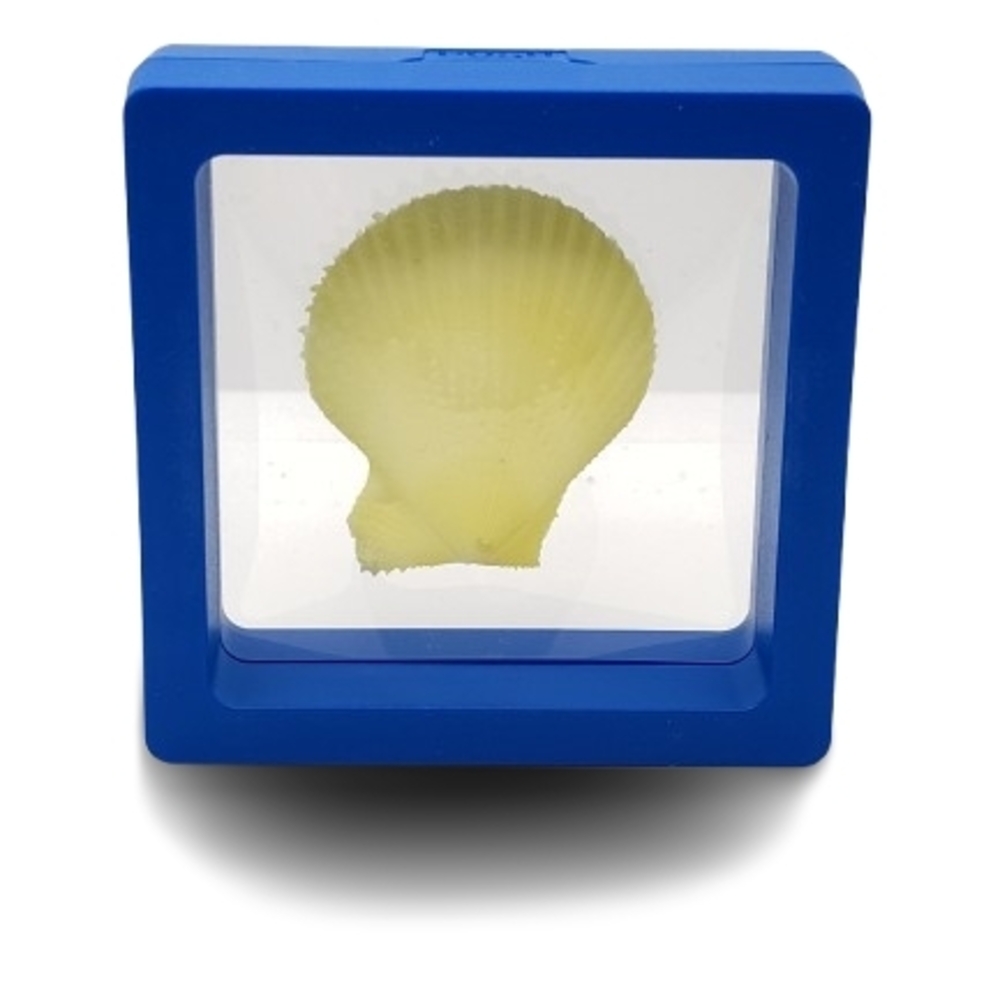 2.75 x 2.75 Blue Display Frame with Yellow Shell